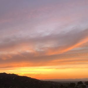 Meet your Posher, Sophia